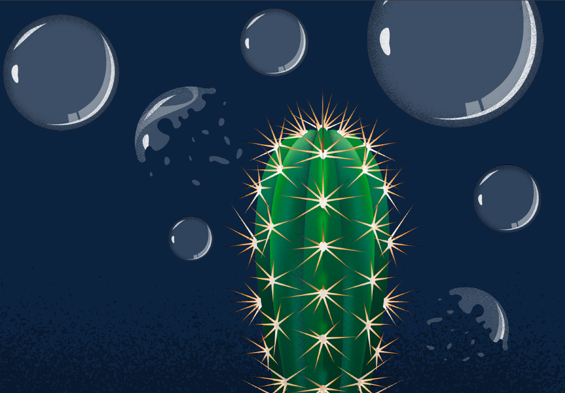 Cactus Melanoma