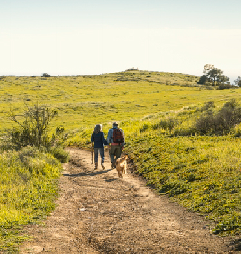 Pareja paseando en un camino en la naturaleza