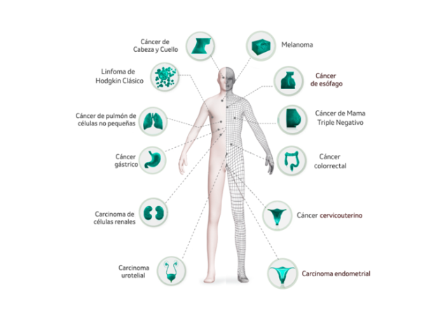 El cuerpo de keytruda