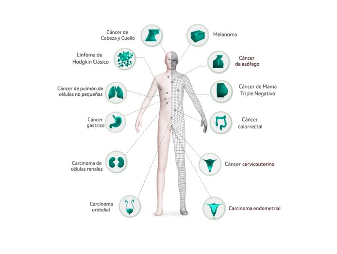 El cuerpo de keytruda